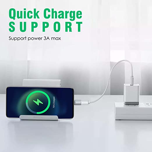 AGARO AG Blaze Micro to USB Type C Adapter AGARO AG Blaze Micro to USB Type C Adapter